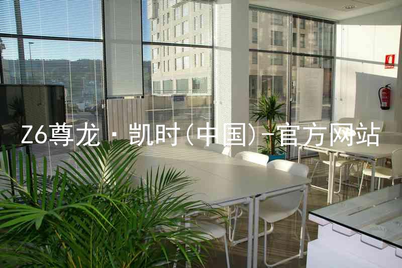 Z6尊龙·凯时(中国)-官方网站
