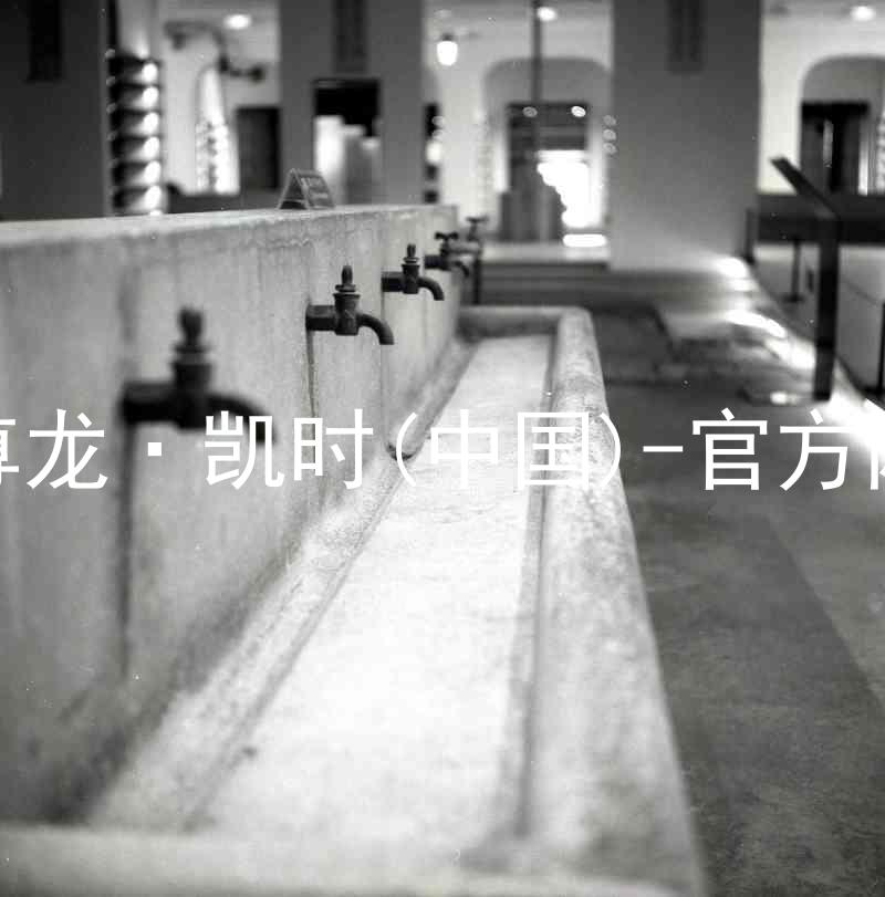 Z6尊龙·凯时(中国)-官方网站