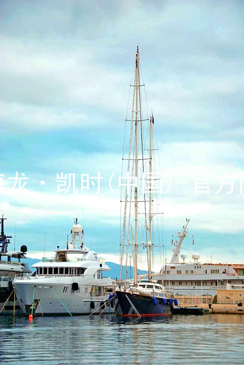 Z6尊龙·凯时(中国)-官方网站