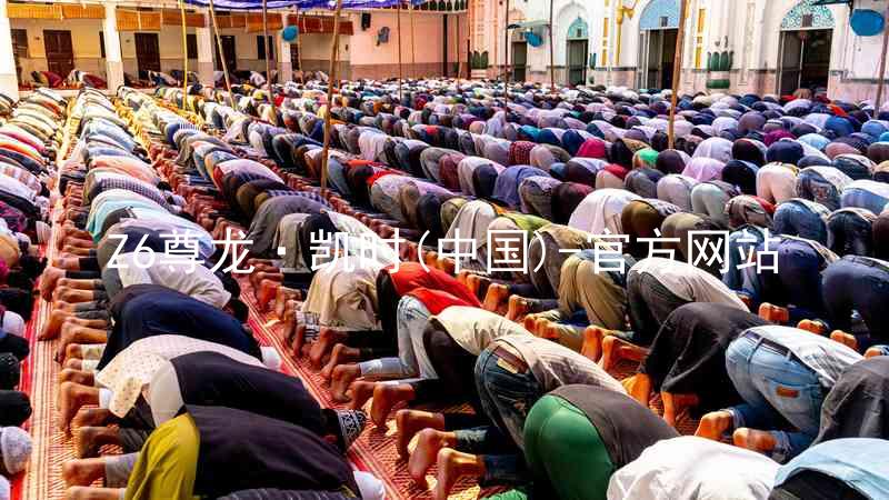 Z6尊龙·凯时(中国)-官方网站